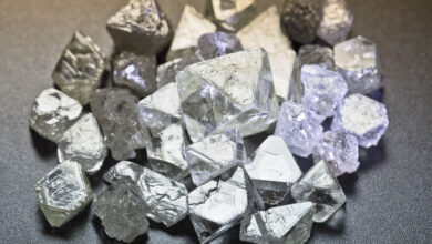 पन्ना में पहली बार संयुक्त हीरा नीलामी, 3 साल बाद चमकेगा व्यवसाय