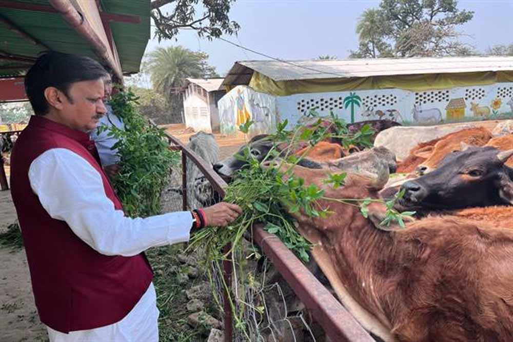 उप मुख्यमंत्री  शुक्ल ने लक्ष्मणबाग गौशाला का किया भ्रमण