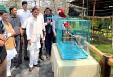 उप मुख्यमंत्री  शुक्ल ने मुकुंदपुर जू का किया निरीक्षण विदेशी पक्षियों से एवियारी हुआ गुलजार