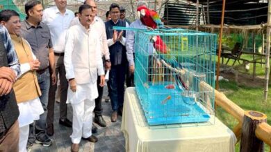 उप मुख्यमंत्री  शुक्ल ने मुकुंदपुर जू का किया निरीक्षण विदेशी पक्षियों से एवियारी हुआ गुलजार