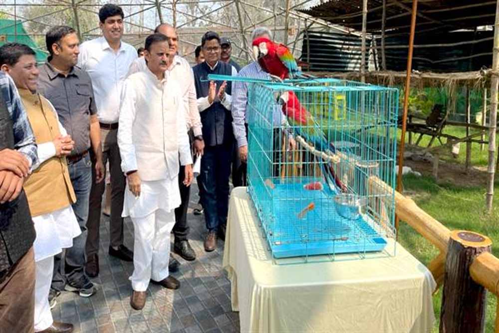 उप मुख्यमंत्री  शुक्ल ने मुकुंदपुर जू का किया निरीक्षण विदेशी पक्षियों से एवियारी हुआ गुलजार