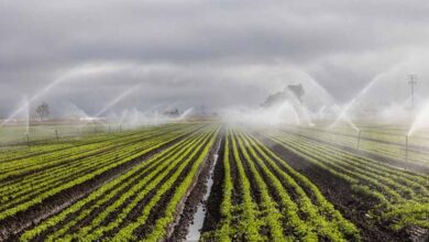 200 हेक्टेयर भूमि होगी सिंचित, लाखों किसानों को मिलेगा लाभ : खाद्य मंत्री राजपूत