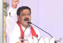 CG Budget: गजेंद्र यादव और विजय शर्मा के विभागों को मिले सबसे ज्यादा रुपये, शिक्षा और ग्रामीण विकास पर दिया गया जोर