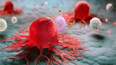 शरीर में चुपके से घर कर रहा है कैंसर! आज नहीं बदलीं ये 4 आदतें तो बढ़ सकता है खतरा