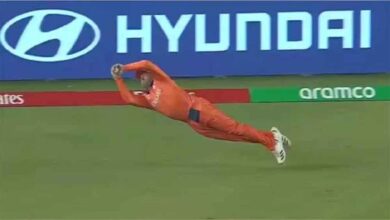 41 की उम्र में वैन डेर का कमाल, हवा में उड़कर पकड़ा टूर्नामेंट का सबसे शानदार कैच