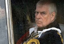 एपस्टीन फाइल्स केस में बड़ा एक्शन, प्रिंस एंड्रयू की गिरफ्तारी से मचा हड़कंप