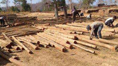 डिजिटल सिस्टम से बढ़ी पारदर्शिता, रोजगार सृजन में वन विकास निगम की नई पहल