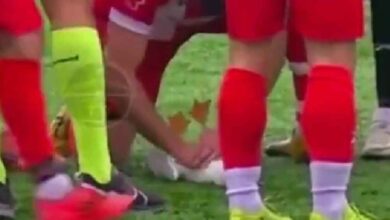 लाइव मैच में पक्षी को लगी गेंद, खिलाड़ी ने दिया CPR, बच गई जान, वीडियो वायरल