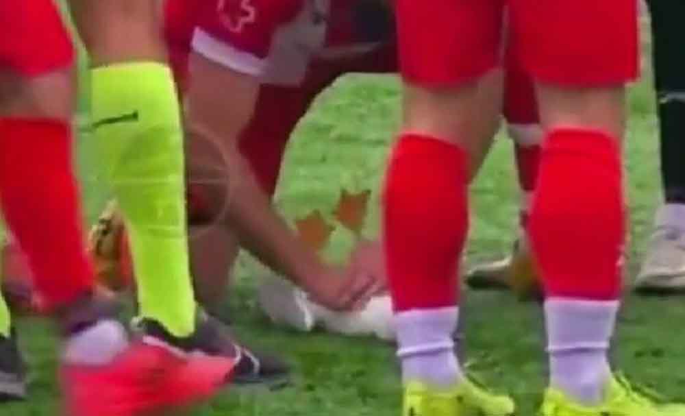 लाइव मैच में पक्षी को लगी गेंद, खिलाड़ी ने दिया CPR, बच गई जान, वीडियो वायरल