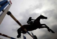 भारतीय घुड़सवारी महासंघ को आयकर विभाग का झटका, 4.62 करोड़ रुपये का नोटिस जारी