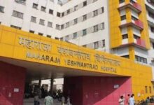 इंदौर के MYH में फिर लापरवाही! चूहों के बाद अब HIV यूनिट में बिल्लियों का आतंक