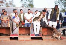 पारिस्थितिकी तंत्र में सहयोगी पशु पक्षियों के संरक्षण के लिए राज्य सरकार प्रतिबद्ध: मुख्यमंत्री डॉ यादव