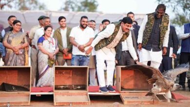 पारिस्थितिकी तंत्र में सहयोगी पशु पक्षियों के संरक्षण के लिए राज्य सरकार प्रतिबद्ध: मुख्यमंत्री डॉ यादव