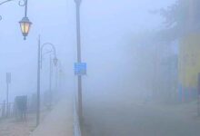 एमपी में मौसम का मिजाज बदलता रहा: कोहरा और ठंड ने बढ़ाई परेशानी, 48 घंटे में बारिश का अलर्ट