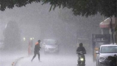 1-3 मार्च तक मौसम का कहर! गरज-चमक संग भारी बारिश का अलर्ट, इन राज्यों में IMD की चेतावनी