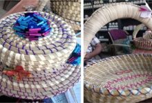 सबई घास से बनी रस्सी बनी आजीविका का साधन