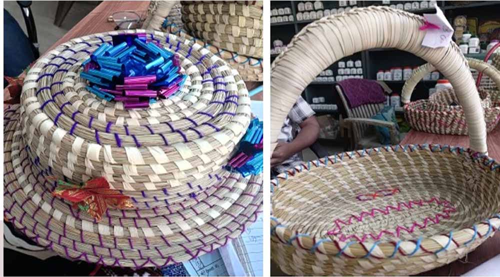 सबई घास से बनी रस्सी बनी आजीविका का साधन सबई घास से बनी रस्सी बनी आजीविका का साधन