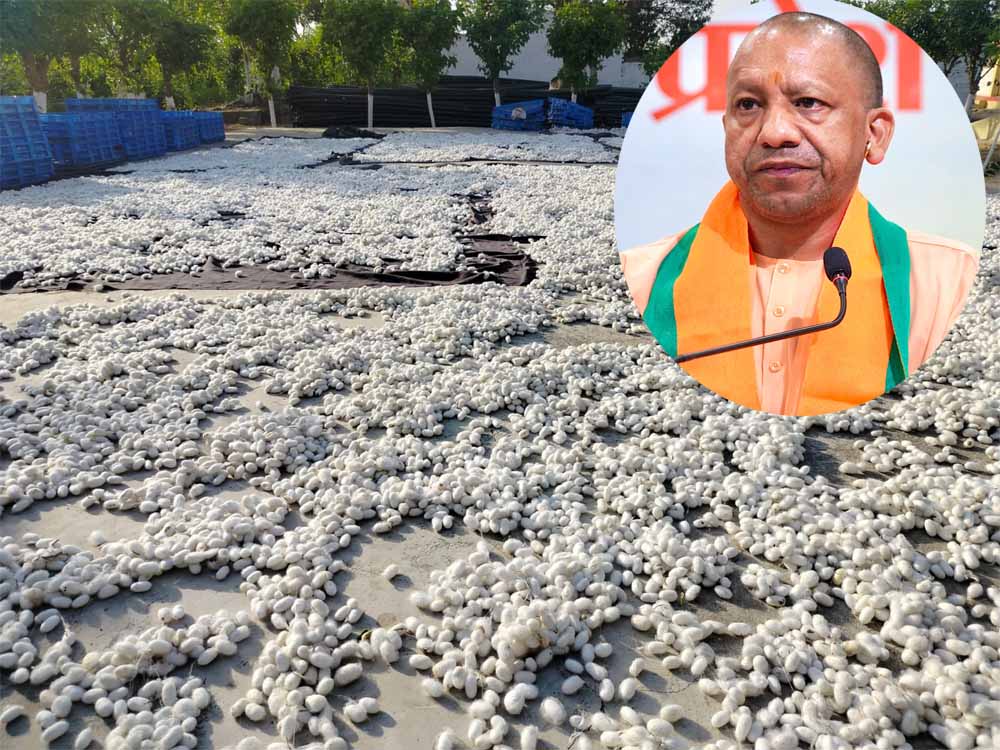 योगी सरकार की दूरदर्शी पहल से रेशम उद्योग को नई उड़ान, ‘सेन्टर ऑफ एक्सीलेन्स’ का हुआ शुभारंभ योगी सरकार की दूरदर्शी पहल से रेशम उद्योग को नई उड़ान, ‘सेन्टर ऑफ एक्सीलेन्स’ का हुआ शुभारंभ