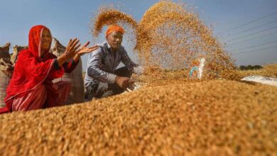 20 हजार से अधिक किसानों ने समर्थन मूल्य पर गेहूँ उपार्जन के लिये कराया पंजीयन : मंत्री राजपूत