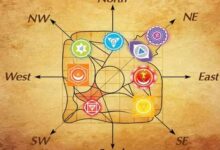 बिना तोड़-फोड़ घर का वास्तु दोष करें दूर, सही दिशा में रखें ये खास चीज और देखें चमत्कारी असर