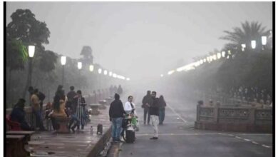 MP में उमरिया सबसे ठंडा, रात का पारा 7°; भोपाल, इंदौर, ग्वालियर समेत 10 जिलों में हल्का कोहरा