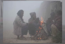 बर्फ पिघलने से MP में सर्द हवाएं, 3-4 डिग्री बढ़ेगा तापमान, ग्वालियर-चंबल में ठंड का ज्यादा असर