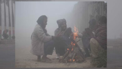 बर्फ पिघलने से MP में सर्द हवाएं, 3-4 डिग्री बढ़ेगा तापमान, ग्वालियर-चंबल में ठंड का ज्यादा असर