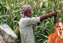 Yogi Adityanath सरकार का बड़ा फैसला: 2.51 लाख किसानों को 285 करोड़ का फसल मुआवजा