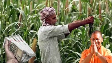 Yogi Adityanath सरकार का बड़ा फैसला: 2.51 लाख किसानों को 285 करोड़ का फसल मुआवजा