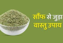 घर की इस जगह रखें एक मुट्ठी सौंफ, तनाव होगा दूर और आएगी सुख-शांति