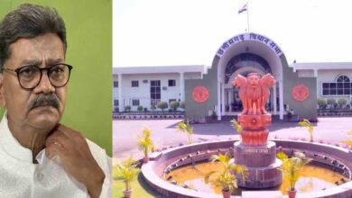 शून्यकाल में उठा दुर्ग में अफीम खेती का मुद्दा, विपक्ष ने कहा – ‘धान का कटोरा’ बन रहा ‘अफीम का कटोरा’