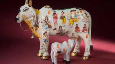 कामधेनु गाय रखने के नियम: घर की इस दिशा में रखने से हो सकता है नुकसान, 90% लोग नहीं जानते सच