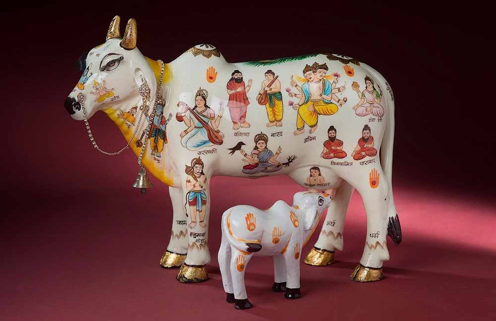 कामधेनु गाय रखने के नियम: घर की इस दिशा में रखने से हो सकता है नुकसान, 90% लोग नहीं जानते सच