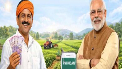 PM किसान सम्मान निधि की 22वीं किस्त आज!, बिहार के 73 लाख किसानों को मिलेंगे ₹2000, ऐसे करें स्टेटस चेक
