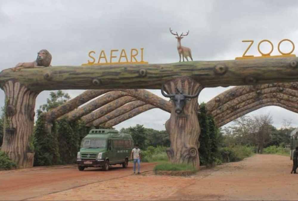 होली पर जंगल सफारी का प्लान बना रहे हैं? 3 मार्च से कुछ दिनों तक पर्यटकों की एंट्री रहेगी बंद होली पर जंगल सफारी का प्लान बना रहे हैं? 3 मार्च से कुछ दिनों तक पर्यटकों की एंट्री रहेगी बंद