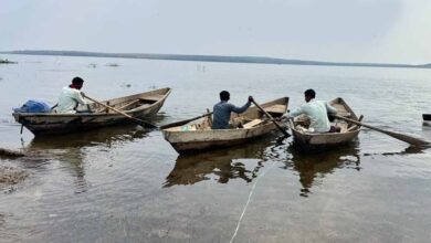 गंगरेल में पहली बार ‘महानदी रिवर बोट चैंपियनशिप’, 52 टीमें आमने-सामने, विजेता को 1 लाख इनाम