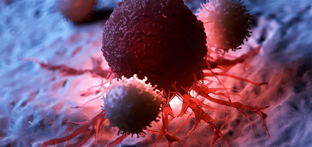 2040 तक कैंसर बनेगा और बड़ा खतरा, हर दो मिनट में एक नई ज़िंदगी पर वार!