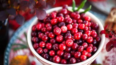 महिलाओं की सेहत का सुपरफूड है क्रैनबेरी, फायदे जानकर चौंक जाएंगे आप
