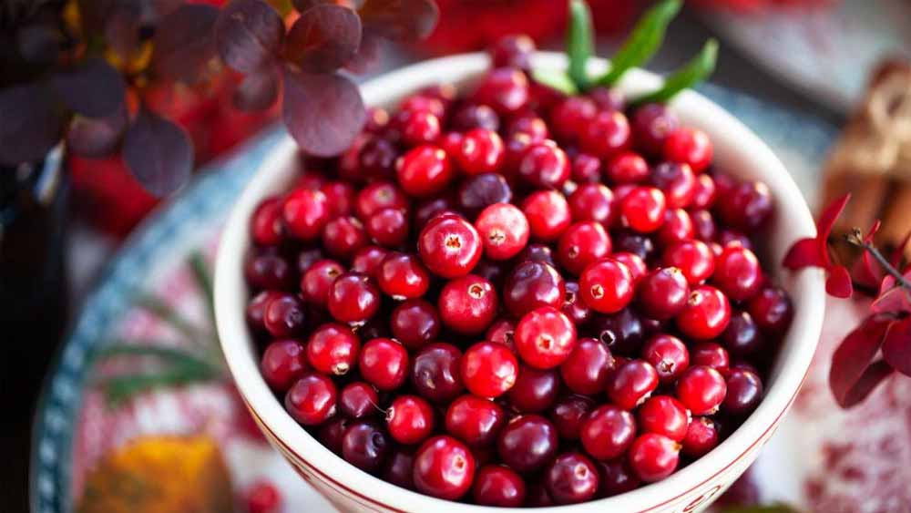 महिलाओं की सेहत का सुपरफूड है क्रैनबेरी, फायदे जानकर चौंक जाएंगे आप