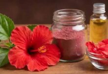 खूबसूरत त्वचा और घने बालों का प्राकृतिक मंत्र: गुड़हल के चमत्कारी फायदे