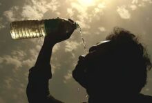 एमपी में सबसे ज्यादा गर्म ग्वालियर-चंबल, तापमान 6°C तक बढ़ा; भोपाल, इंदौर-उज्जैन में भी गर्मी बढ़ी