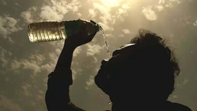 एमपी में सबसे ज्यादा गर्म ग्वालियर-चंबल, तापमान 6°C तक बढ़ा; भोपाल, इंदौर-उज्जैन में भी गर्मी बढ़ी