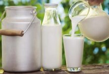 मध्य प्रदेश में दूध उत्पादकों को मिलेगा लाइसेंस, शुद्धता की निगरानी होगी सख्त