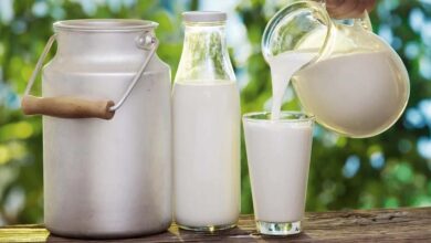 मध्य प्रदेश में दूध उत्पादकों को मिलेगा लाइसेंस, शुद्धता की निगरानी होगी सख्त