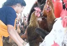 धमतरी : आजीविका मिशन से बदली तस्वीर: चर्रा की योगेश्वरी देवांगन बनीं महिला सशक्तिकरण की प्रेरणा