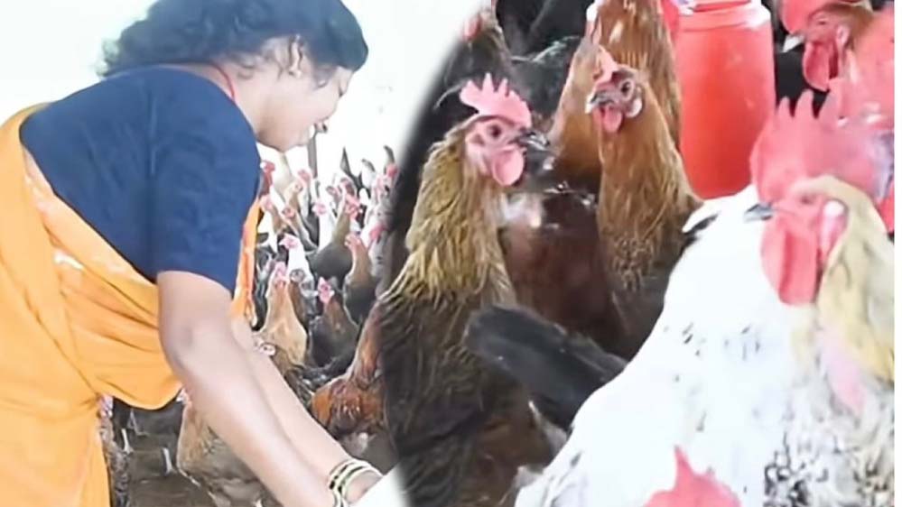 धमतरी : आजीविका मिशन से बदली तस्वीर: चर्रा की योगेश्वरी देवांगन बनीं महिला सशक्तिकरण की प्रेरणा