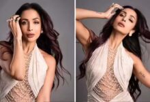 मलाइका अरोड़ा डेट कर रही हैं 17 साल छोटे बिजनेसमैन? BF ने पैपराज़ी को किया इग्नोर