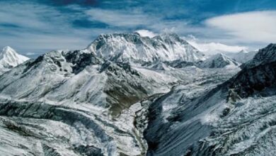 हिमालय से गायब हो रहे पेड़, सरकारी रिपोर्ट में खुलासा- 2 साल में 2.2% ग्रीन कवर हुआ खत्म