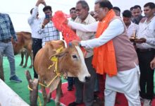 राज्य में गोधन संरक्षण को नई दिशा : गोमाता की पूजा-अर्चना कर CM साय ने ग्राम लाखासार में गौधाम का किया शुभारंभ