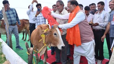 राज्य में गोधन संरक्षण को नई दिशा : गोमाता की पूजा-अर्चना कर CM साय ने ग्राम लाखासार में गौधाम का किया शुभारंभ